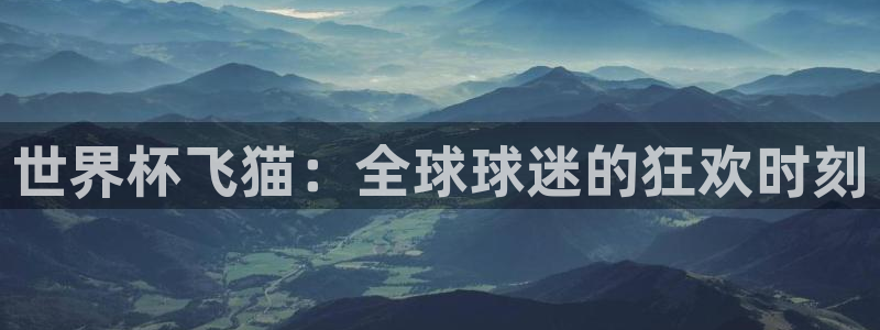 2026年世界杯直播平台：世界杯飞猫：全球球迷的狂欢时刻