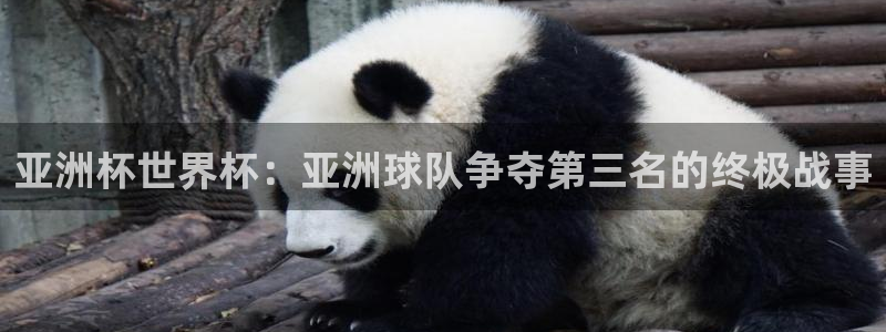 世界杯亚洲预选赛18强赛程：亚洲杯世界杯：亚洲球队争夺第三名的终极战事