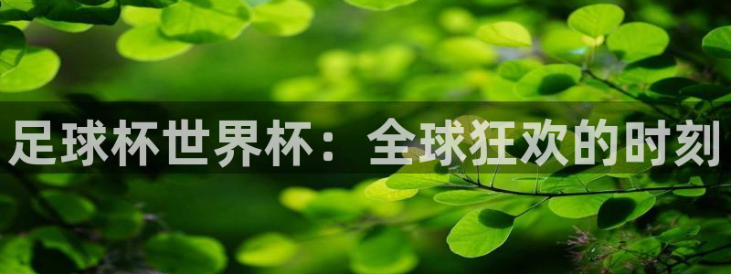 欧洲世界杯预选赛：足球杯世界杯：全球狂欢的时刻