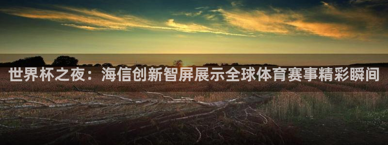 免费看足球直播比赛：世界杯之夜：海信创新智屏展示全球体育赛事精彩瞬间