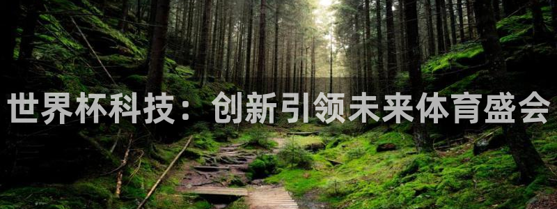 世界杯预选赛亚洲区赛程：世界杯科技：创新引领未来体育盛会