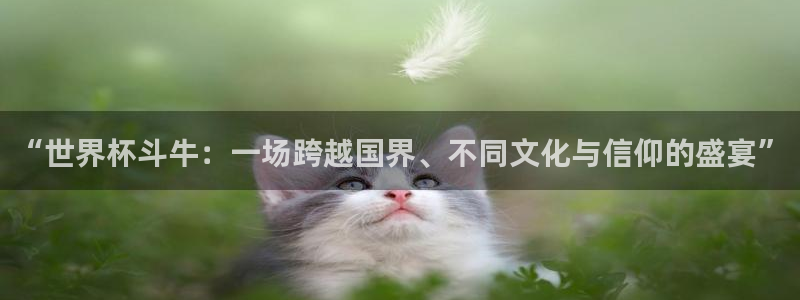 世预赛免费直播入口：“世界杯斗牛：一场跨越国界、不同文化与信仰的盛宴”