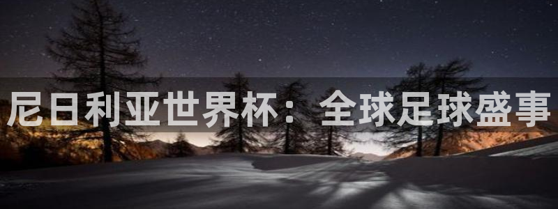 世界杯小组赛赛程：尼日利亚世界杯：全球足球盛事