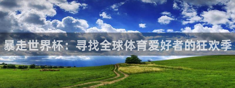 世界杯亚洲区预选赛赛程表：暴走世界杯：寻找全球体育爱好者的狂欢季