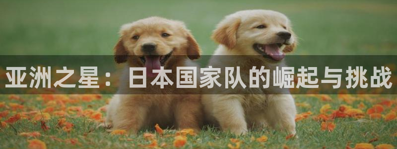 2026世预赛赛程表：亚洲之星：日本国家队的崛起与挑战