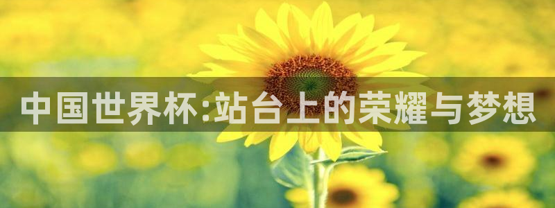 美国世界杯：中国世界杯:站台上的荣耀与梦想