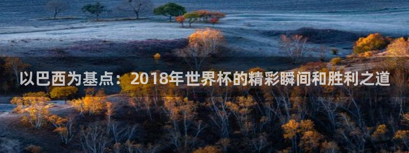 世界杯球队排名：以巴西为基点：2018年世界杯的精彩瞬间和胜利之道