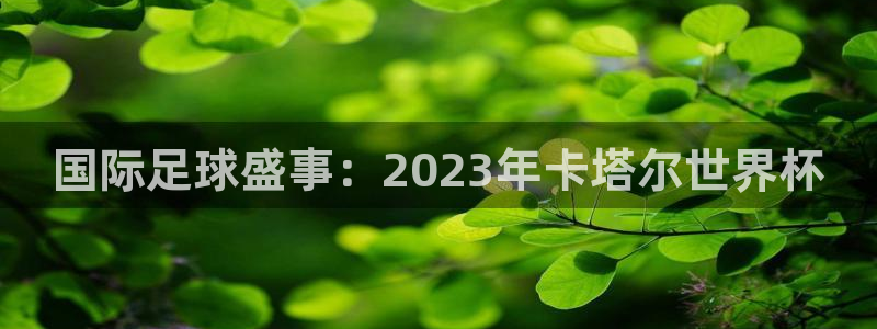 2026世界杯直播：国际足球盛事：2023年卡塔尔世界杯