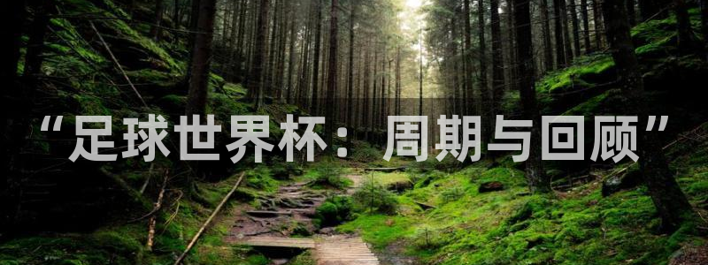 2026年足球世界杯赛程时间表：“足球世界杯：周期与回顾”